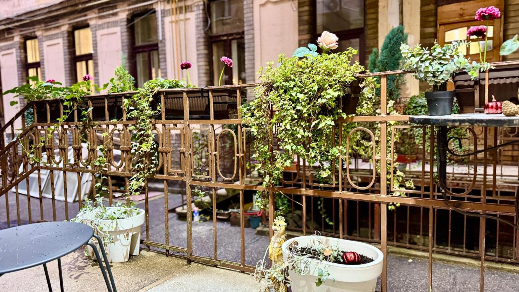 Fsf Boutique Apartament Тимишоара Экстерьер фото